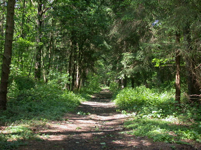 Uscita domenicale...